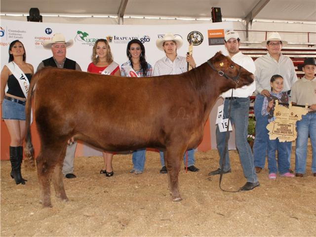 Mezquite Proy's Helen 39S